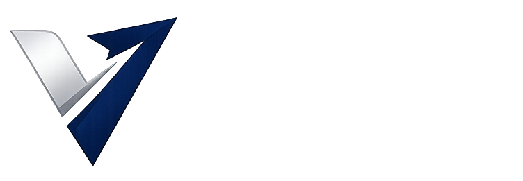 VIPGO TECH LTD